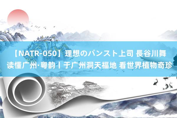 【NATR-050】理想のパンスト上司 長谷川舞 读懂广州·粤韵丨于广州洞天福地 看世界植物奇珍