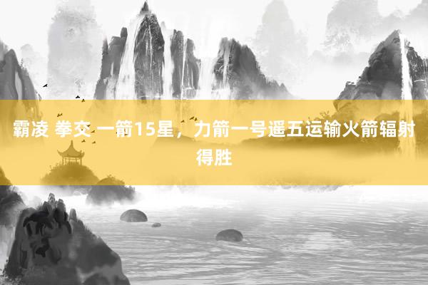 霸凌 拳交 一箭15星，力箭一号遥五运输火箭辐射得胜